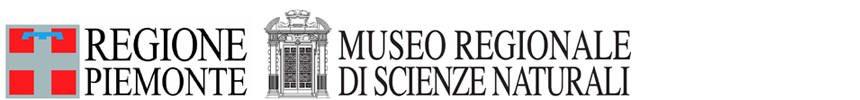 Museo Regionale di Scienze Naturali di Torino. Concorso per la progettazione delle aree di accoglienza, dei servizi accessori e dell'immagine coordinata.